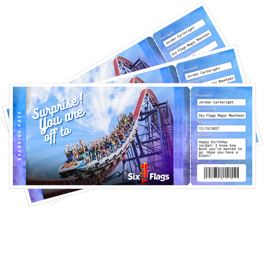 Six Flags Magic Mountain Surprise Ticket